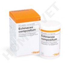 Heel Echinacea comp. H homeopathy